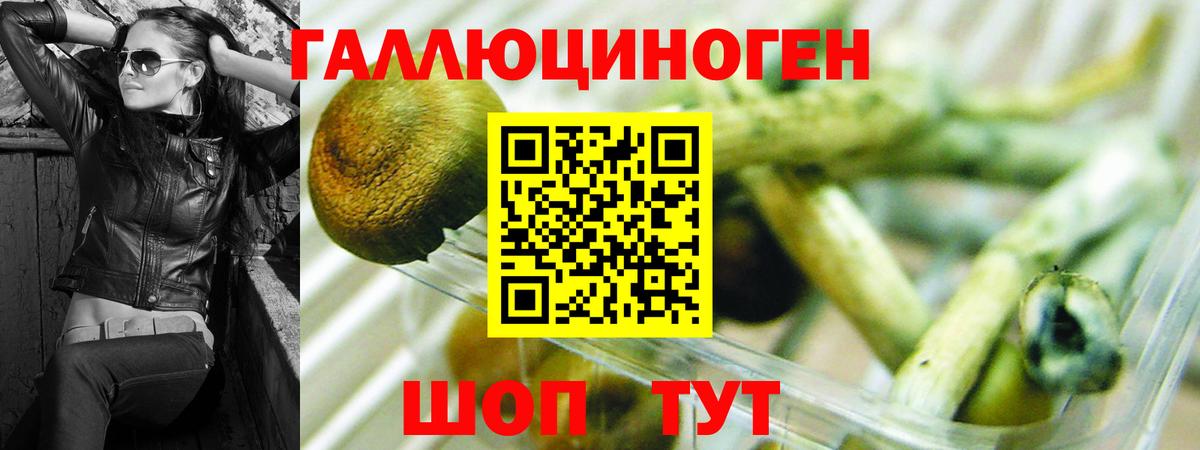 Псилоцибиновые грибы мухоморы Краснокаменск